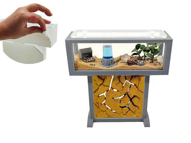 Foto 6 de 6 de Hormiguero Kit- T- Mini de Arena Natural 15x5x16 - Hormigas Gratis Incluidas┃de 20-30 Hormigas