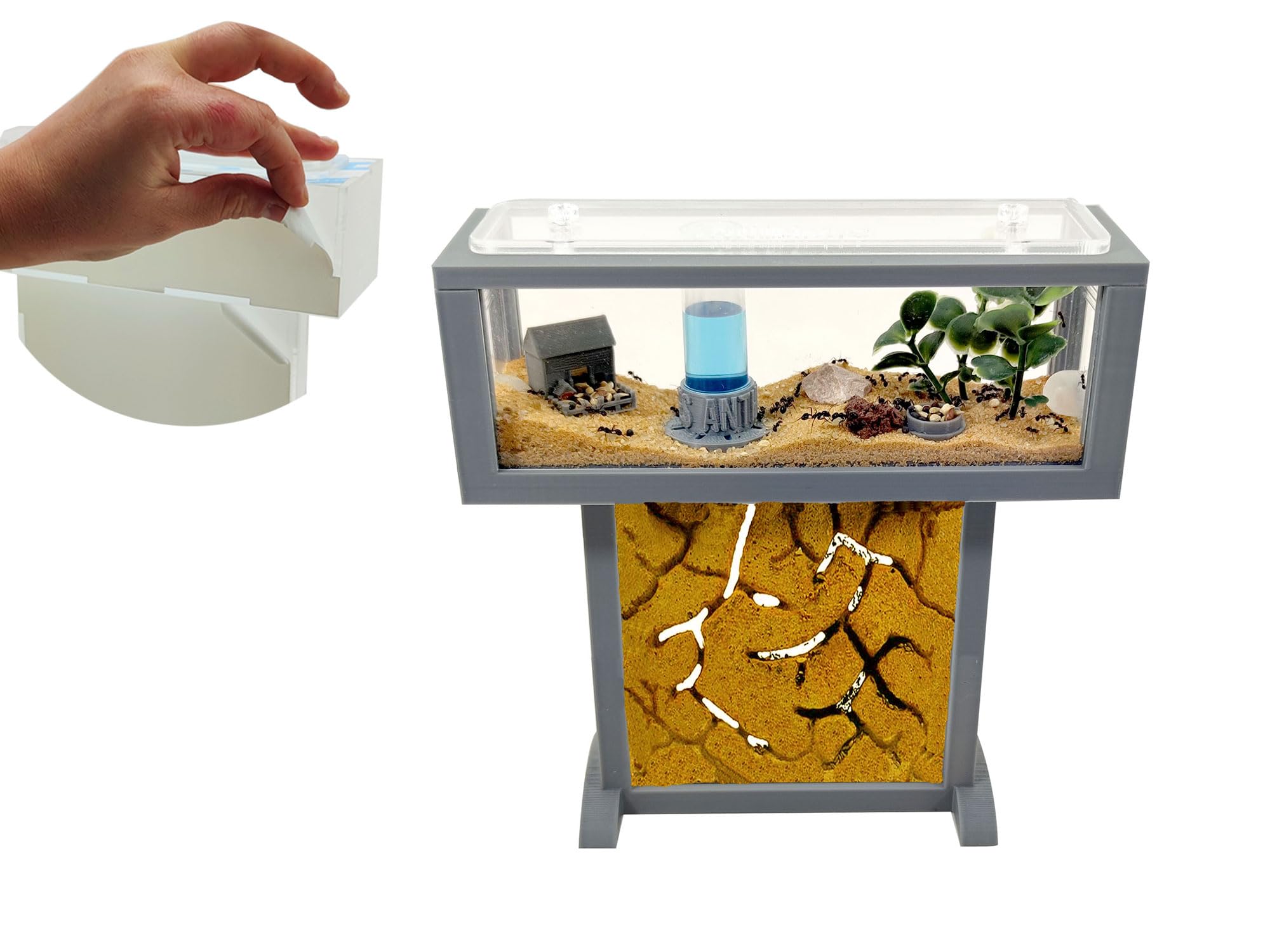 Kit per formiche T- Mini di sabbia naturale, 15 x 5 x 16 cm, formiche gratis incluse┃da 20-30 formiche