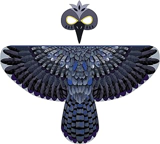D.Q.Z Bird Costume for Kids with Mask, Eagle Wings Costume for Boys Girls Owl Raven Dress Up Party Gifts (Black)