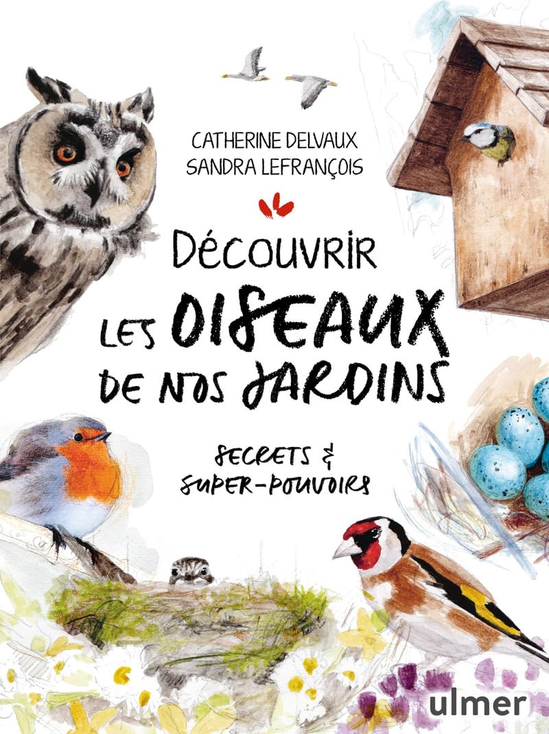 Découvrir les oiseaux de nos jardins: Secrets & super-pouvoirs