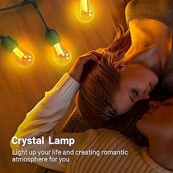 Fido 6800 U-LCG 2本セット Amazon.com: AcoFeu Outdoor String Lights, 48FT 24 LED PET