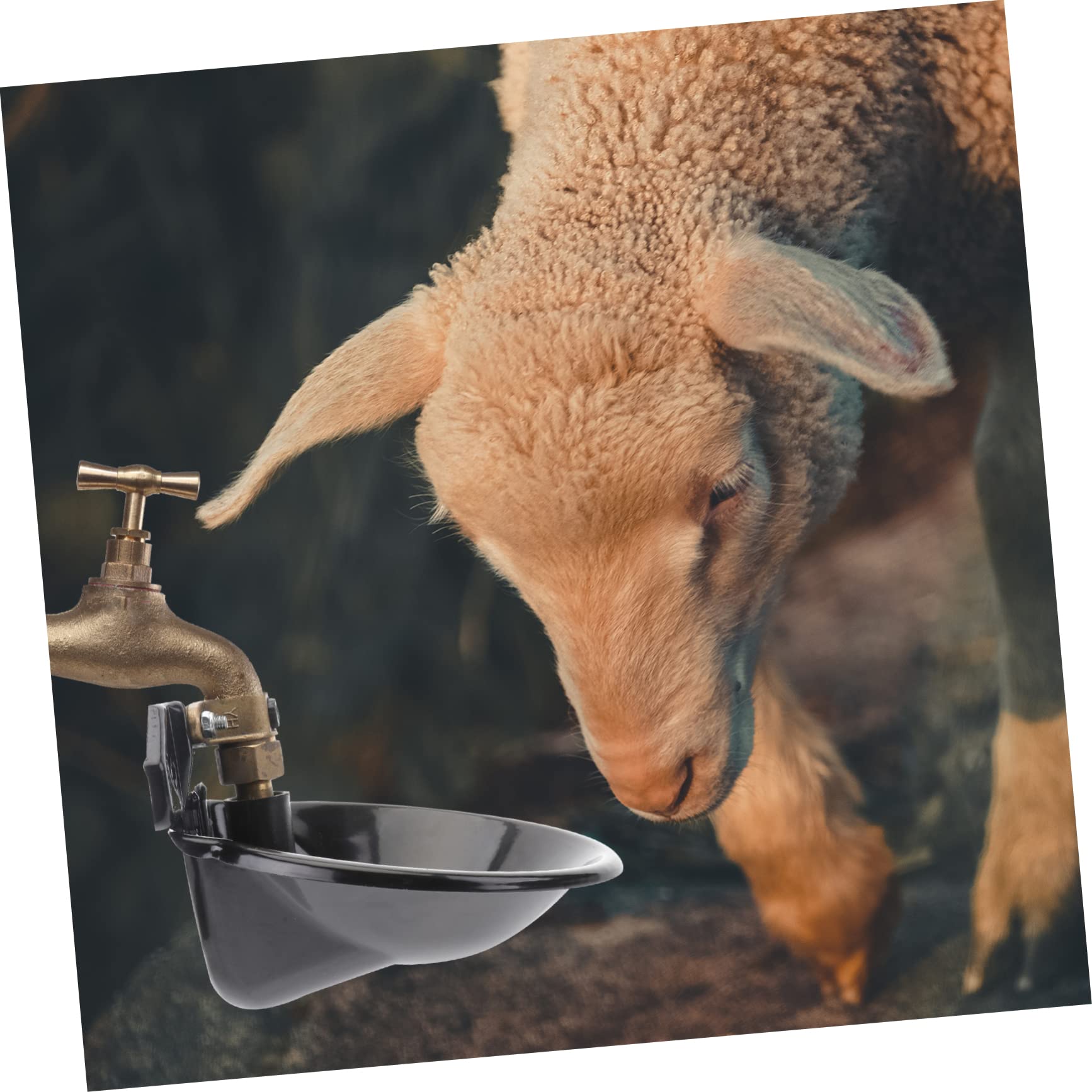 Abbeveratoio Automatico per Pecore e Cani, Nero, Ferro Rame | Livello Dell’acqua Stabile, Antiruggine, Uso in Allevamento, Ciotola per Alimentazione Manuale