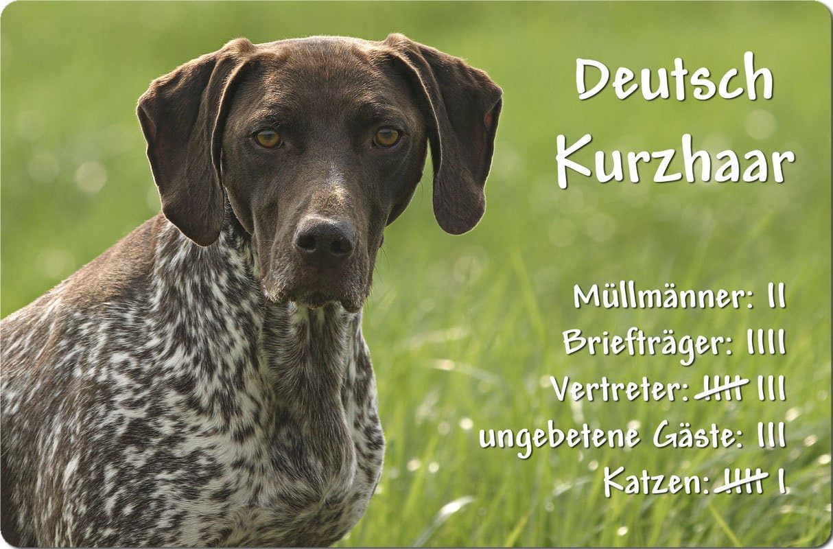 Metall Warnschild Bayerischer Gebirgsschweisshund - Aluminium Schild 30,5x20cm Hundezeichen