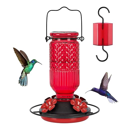FEED GARDEN Glass Hummingbird Feeder, 16oz Outdoor Hanging Bird Feeder with Ant Moat, 4 Bee-Proof Feeding Ports, 360° Perch, Leak-Proof, Red