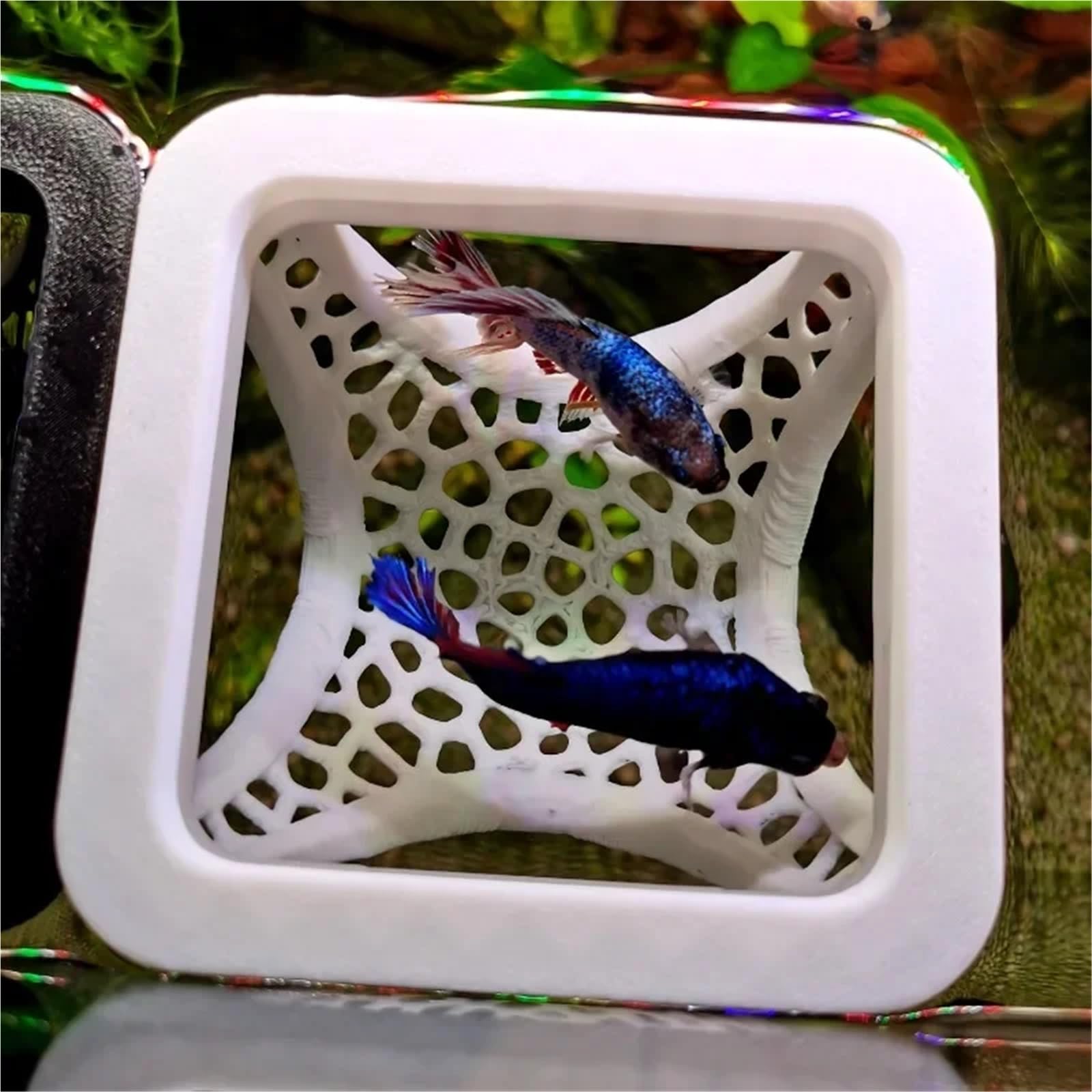 Lot de 2 cachettes flottantes 3 en 1 pour aquarium, grotte pour poissons, crevettes, hamac, anneau d'alimentation et lieu de repos (blanc)