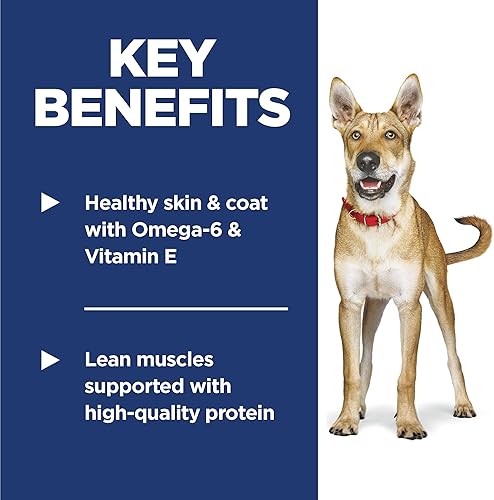 Miniatura 4 de Alimento balanceado para perros adultos Hill's Science Diet, saludable y seco