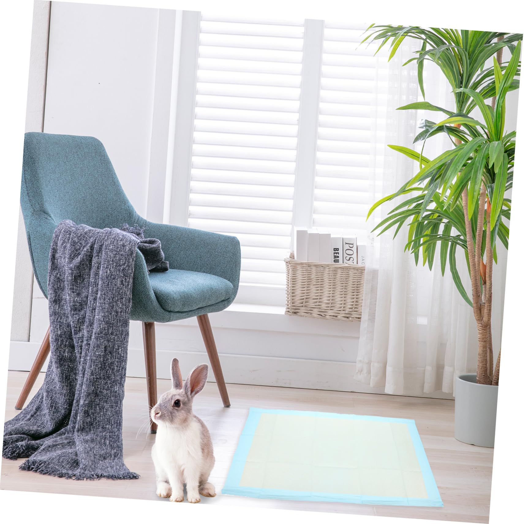 Abaodam Tapis de Propreté pour Chiens Tapis Absorbants pour Chiens de Petite Taille Sèche Rapide Utilisation Multi-Chiens Non-tissé 50 Pièces Éducation des Chiots pour Petits Animaux