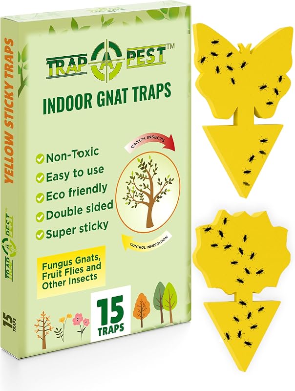 Trampas adhesivas para mosquitos para plantas de interior Trap a Pest - Amarillo - Paquete de 15 | Trampas adhesivas de color amarillo brillante que atrapan mosquitos, moscas de la fruta y mosquitos de los hongos: protección segura y no tóxica para plantas de interior