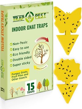 15 pcs Gnat Traps for House Indoor, Fungus Gnat Sticky Traps for Plants, Sticky Traps for Gnats - Plant Sticky Traps for Bugs, Sticky Fly Traps for Plants Trap Fungus Gnat, Fruit Fly and Other Insects