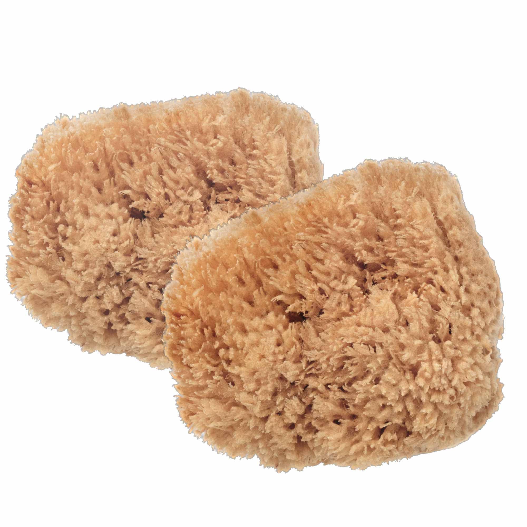 2x Esponjas De Mar Exfoliantes BabyCare. Para La Piel Más Sensible y Delicada. Esponjas Naturales Sin Blanquear, Cosechadas De Forma Sostenible En Embalaje Libre De Plástico