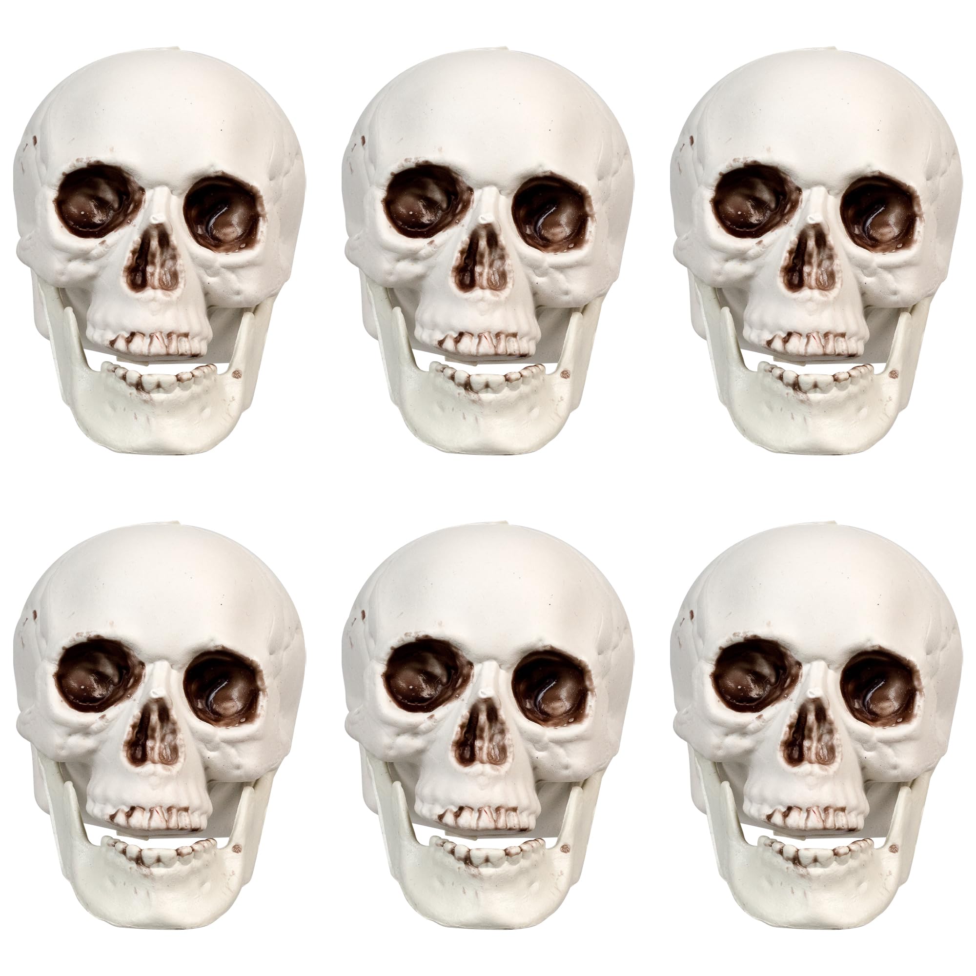 Northlight Skeleton Skull Halloween Decorations - 3.5