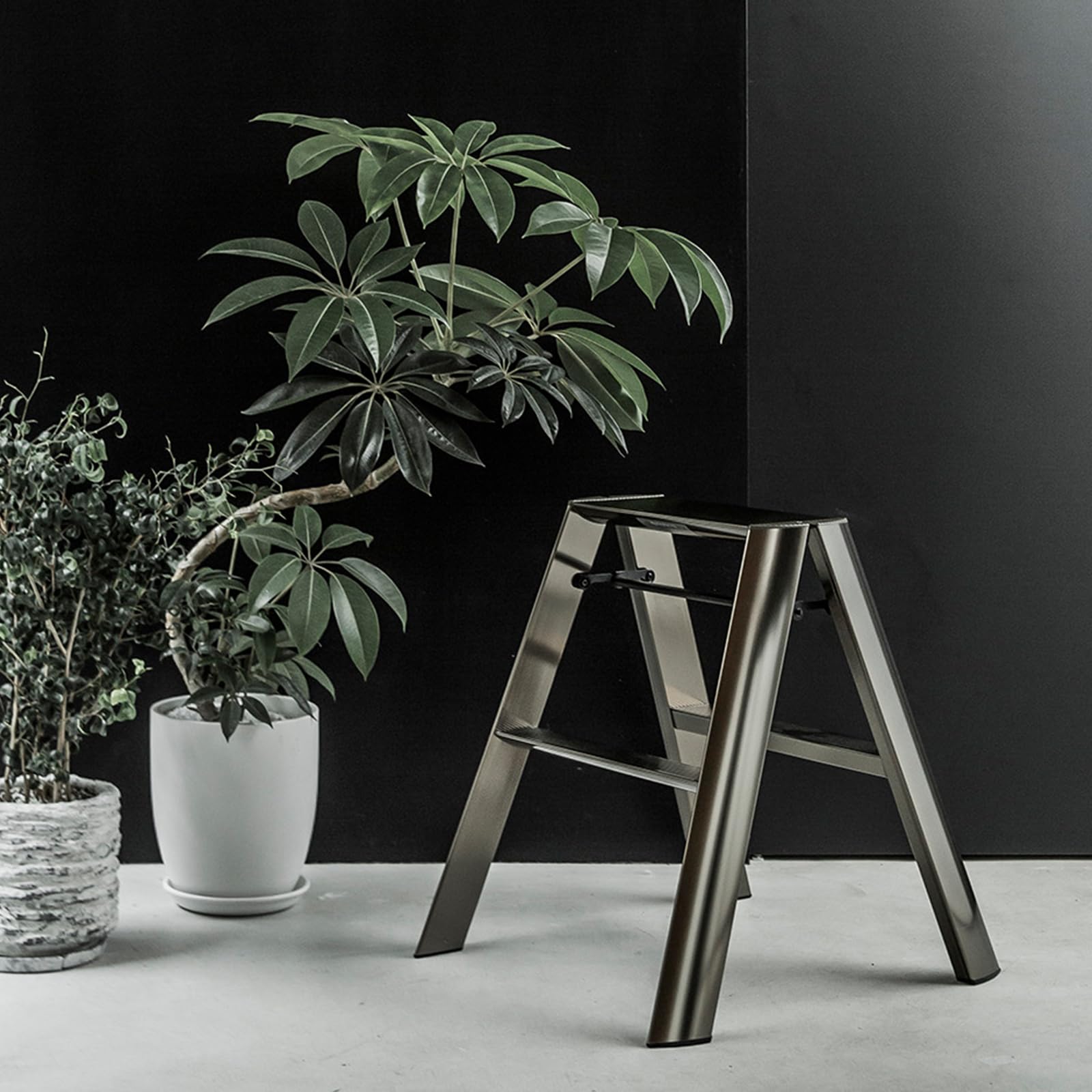 Amazon.com: Hasegawa Ladders Lucano Step Stool Premium Edition 2