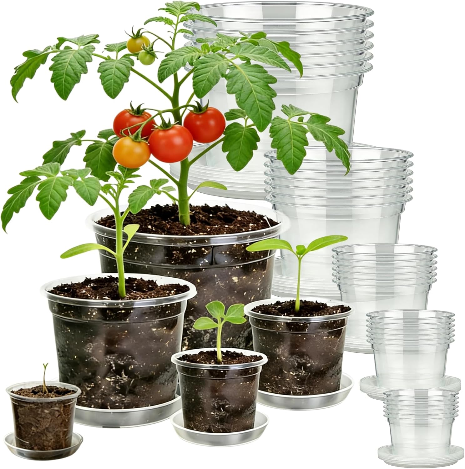 30 Pack 7/6/5/4/3 Inch Clear Nursery Pots with Drainage and Saucer, Plastic Pots for Planter, Clear Potting Pots for Succulents, Flower, Small Herbs, Indoor Outdoor Gardening