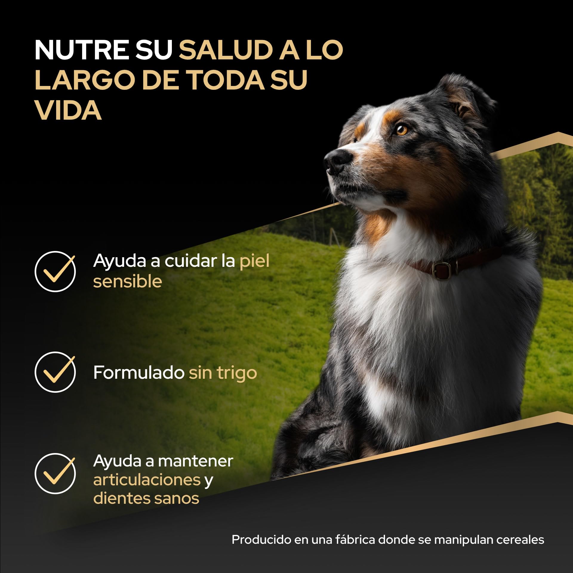 Purina Pro Plan Medium Adult Derma Pienso para Perro Mediano Adulto, Piel y Pelaje con Salmón, Saco de 16kg