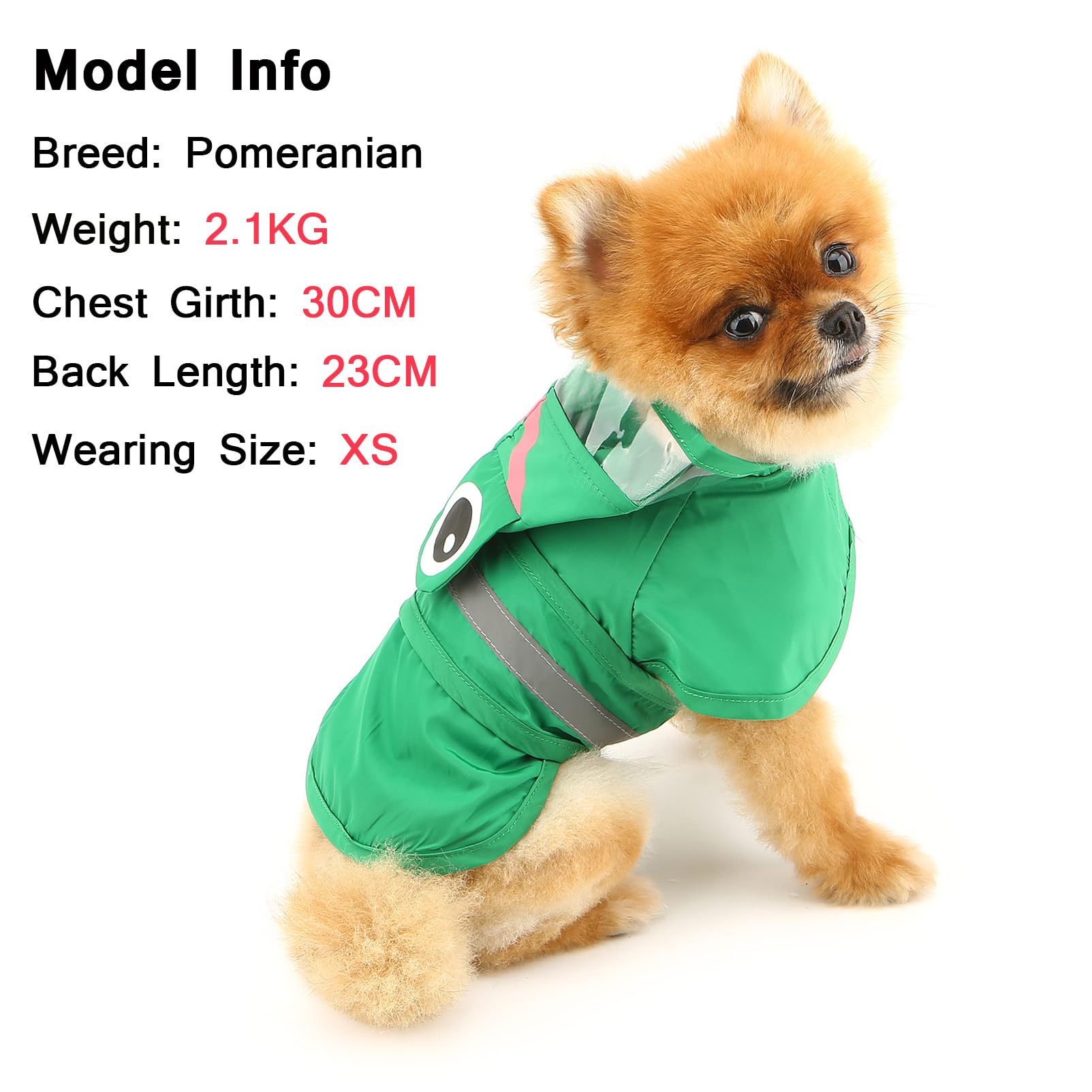 SMALLLEE_LUCKY_STORE Cute Frog Dog Raincoat with Clear Hood and Harness Hole Adjustable Waterproof Rain Jacket for Small Medium Large Dogs Boy Girl Reflective Pet Poncho - Image 3