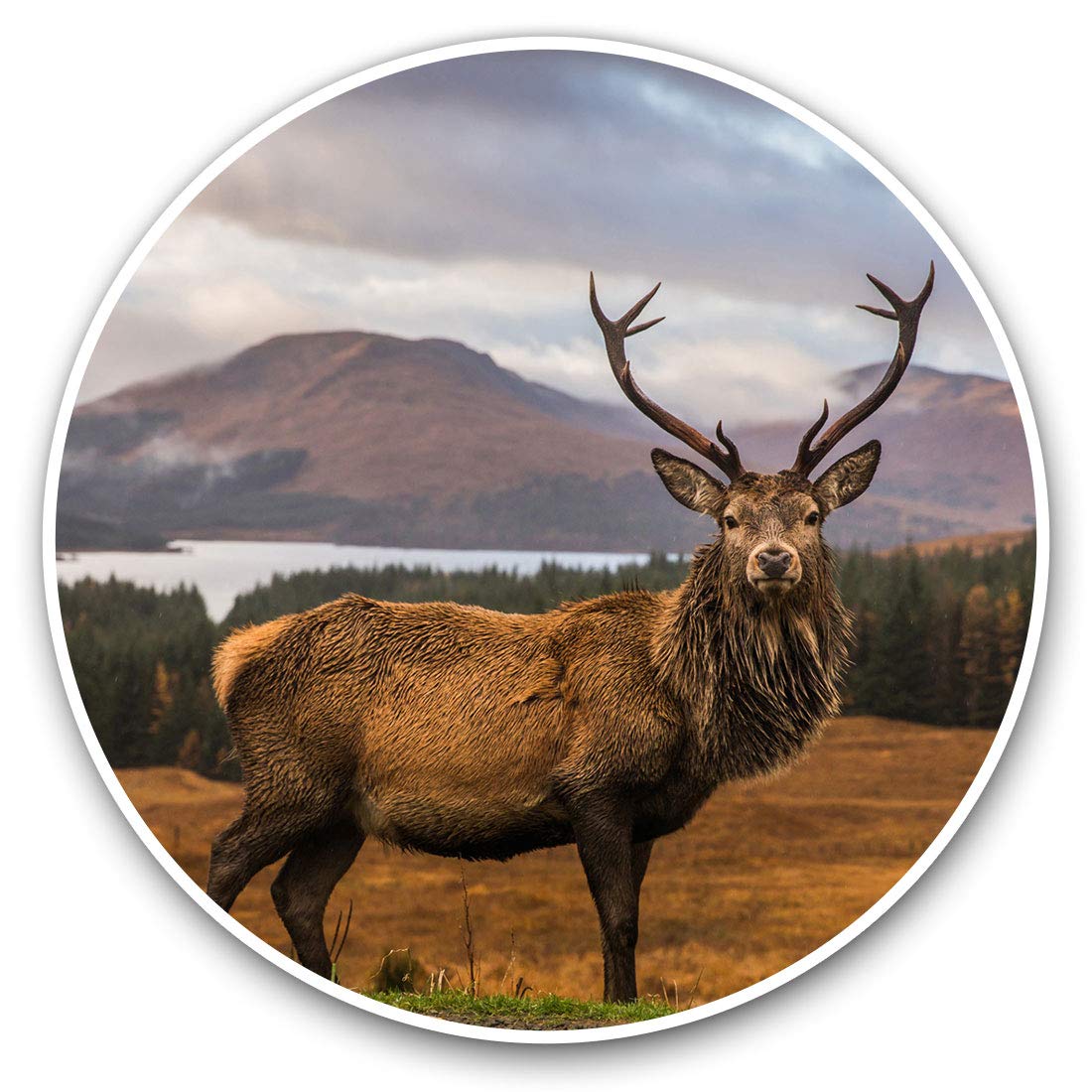 Awesome Vinyl Stickers (Set of 2) 20cm - Stag Deer Scottish Highlands Fun Decals for Laptops,Tablets,Luggage,Scrap Booking,Fridges #14361
