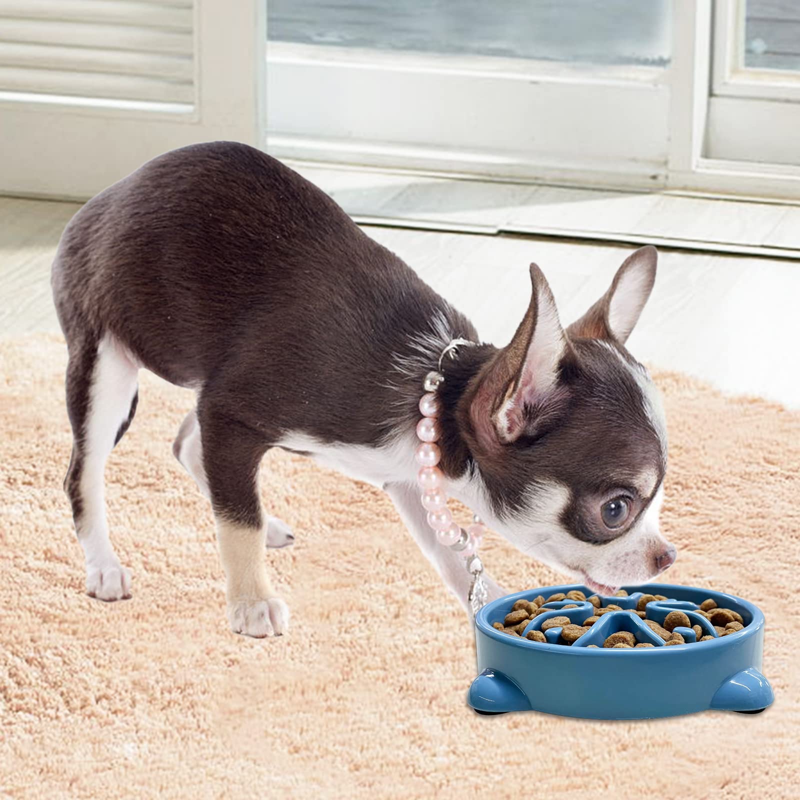 VANNON Paquete de 2 cuencos de alimentación lenta para perros, antideslizantes, duraderos, para perros, para cachorros y perros pequeños, sin BPA, 1 taza