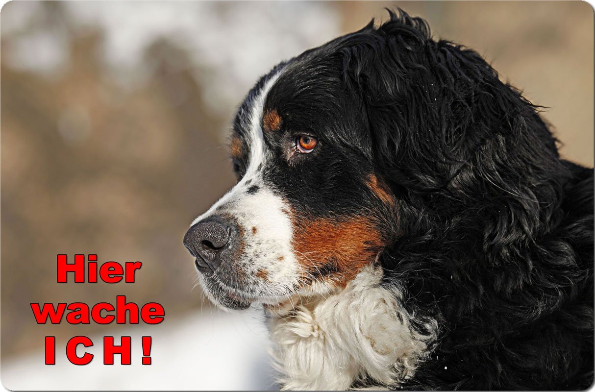 BERNER Sennenhund Metall-Warnschild – 30,5 X 20 Cm, Aluminium 0,5 Mm | Hundeschild Für Garten & Einfahrt