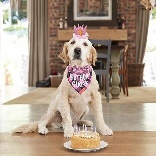 Miniatura 2 de ADOGGYGO Suministros para fiesta de cumpleaños para perros, varios tamaños ofrecidos, bandana de cumpleaños para niña, corona de sombrero de fiesta