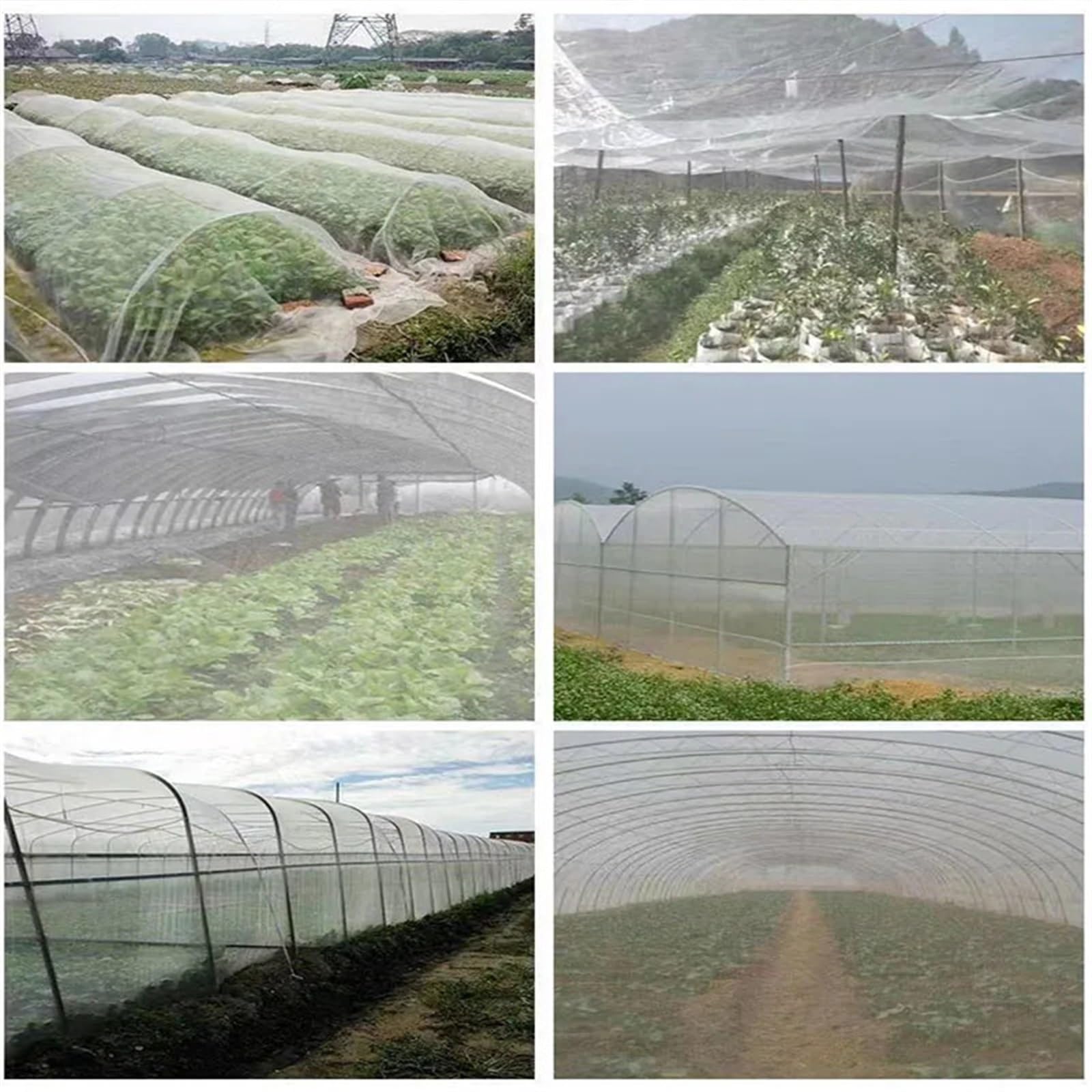 Malla para frutales Red Protectora for árboles frutales, Invernadero, Verduras, jardín, Plantas Vegetales, túnel, Red Fina(4x10m)