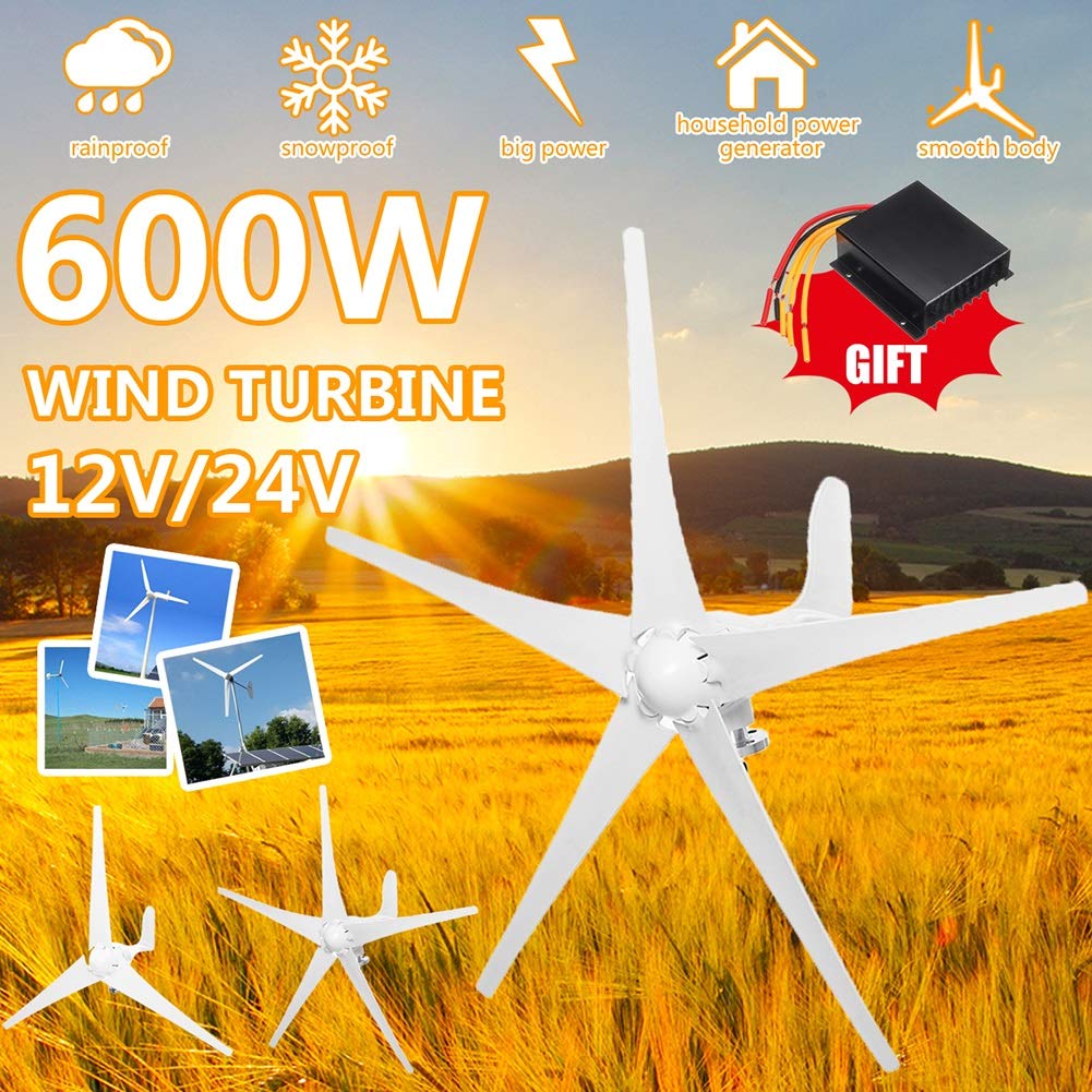Buy LiRongPing 600W 12V/24V Wind Turbines Generator 5 Blades Horizontal