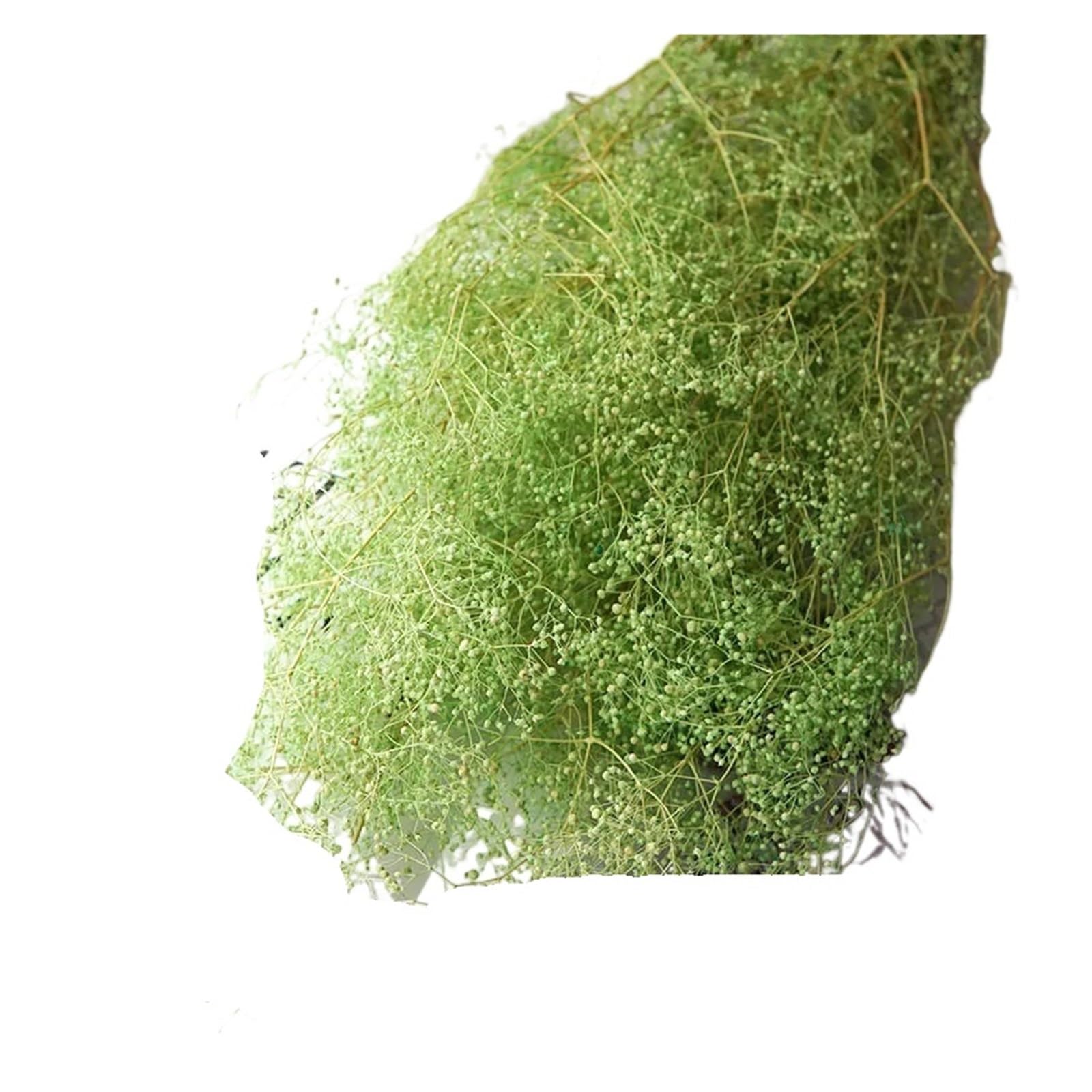 WJIAYAO dried gypsophila flowers 40g Beautiful Mini Baby Breath Wedding Decoration Gypsophila Flower Preserved Flowers for Home Decor DIY Material(Green)