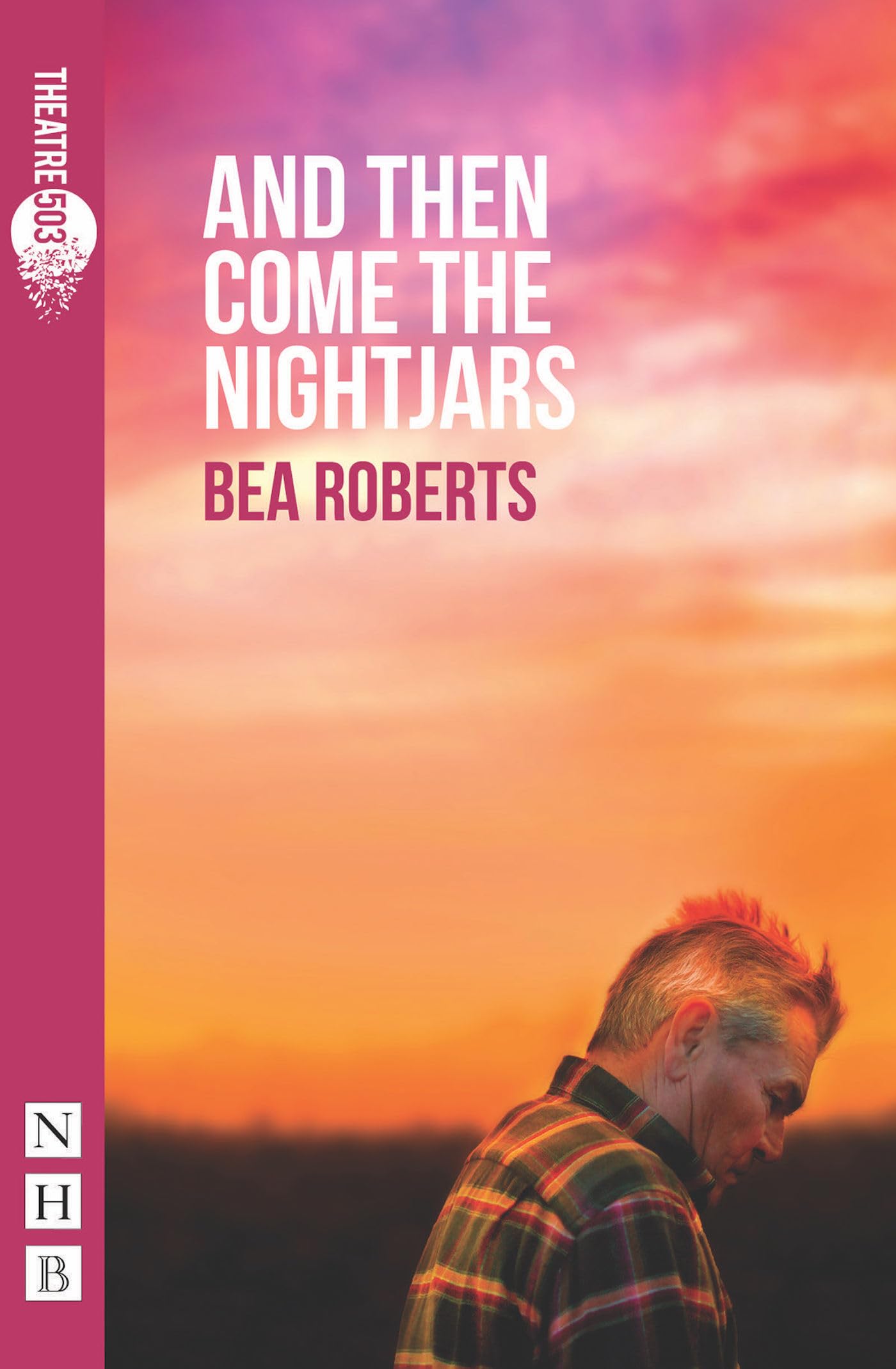 And Then Come the Nightjars (NHB Modern Plays)