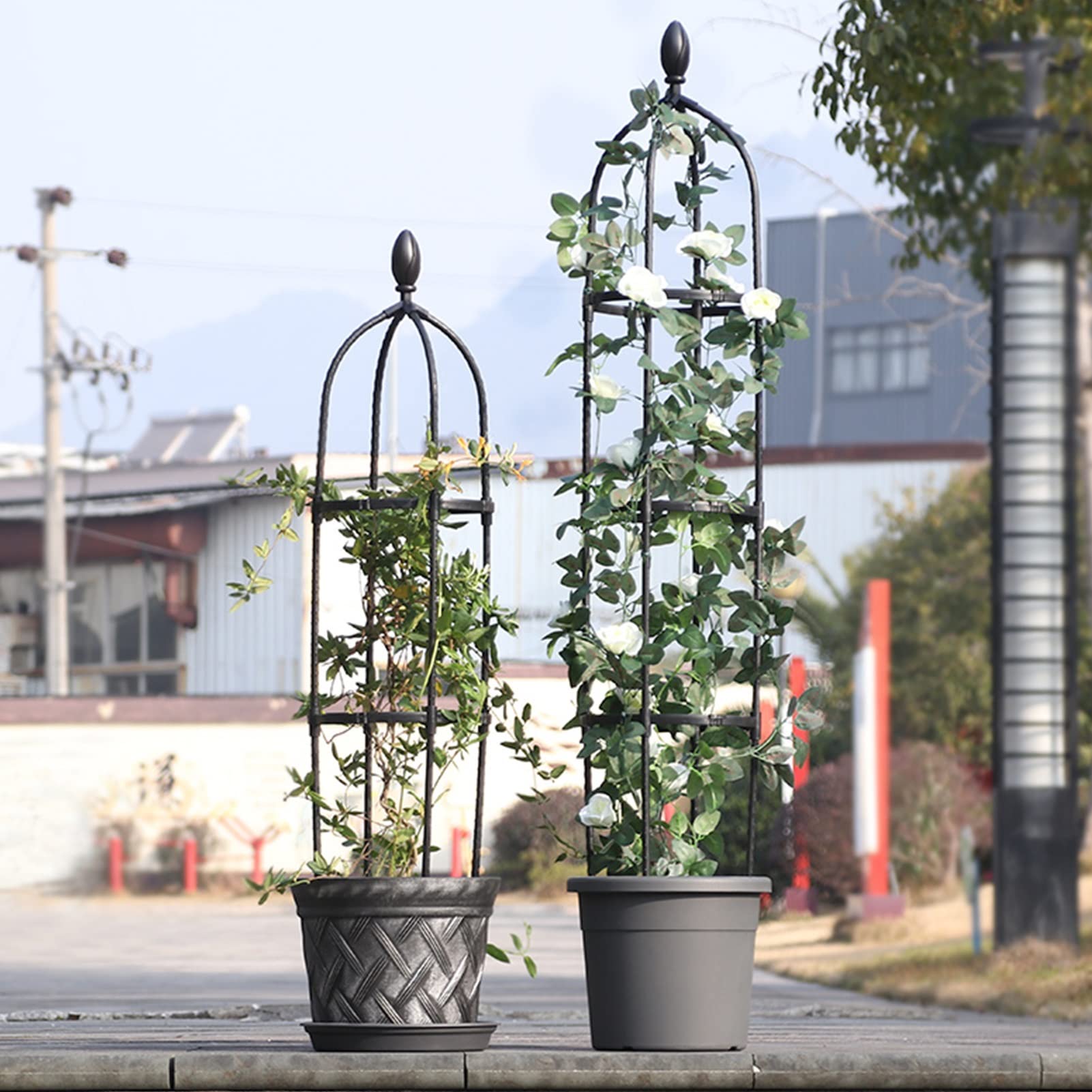 Treillis En Fer Pour Plantes Grimpantes 100 Cm - Support Jardin Balcon Extérieur (Style Rouille Ou Noir)