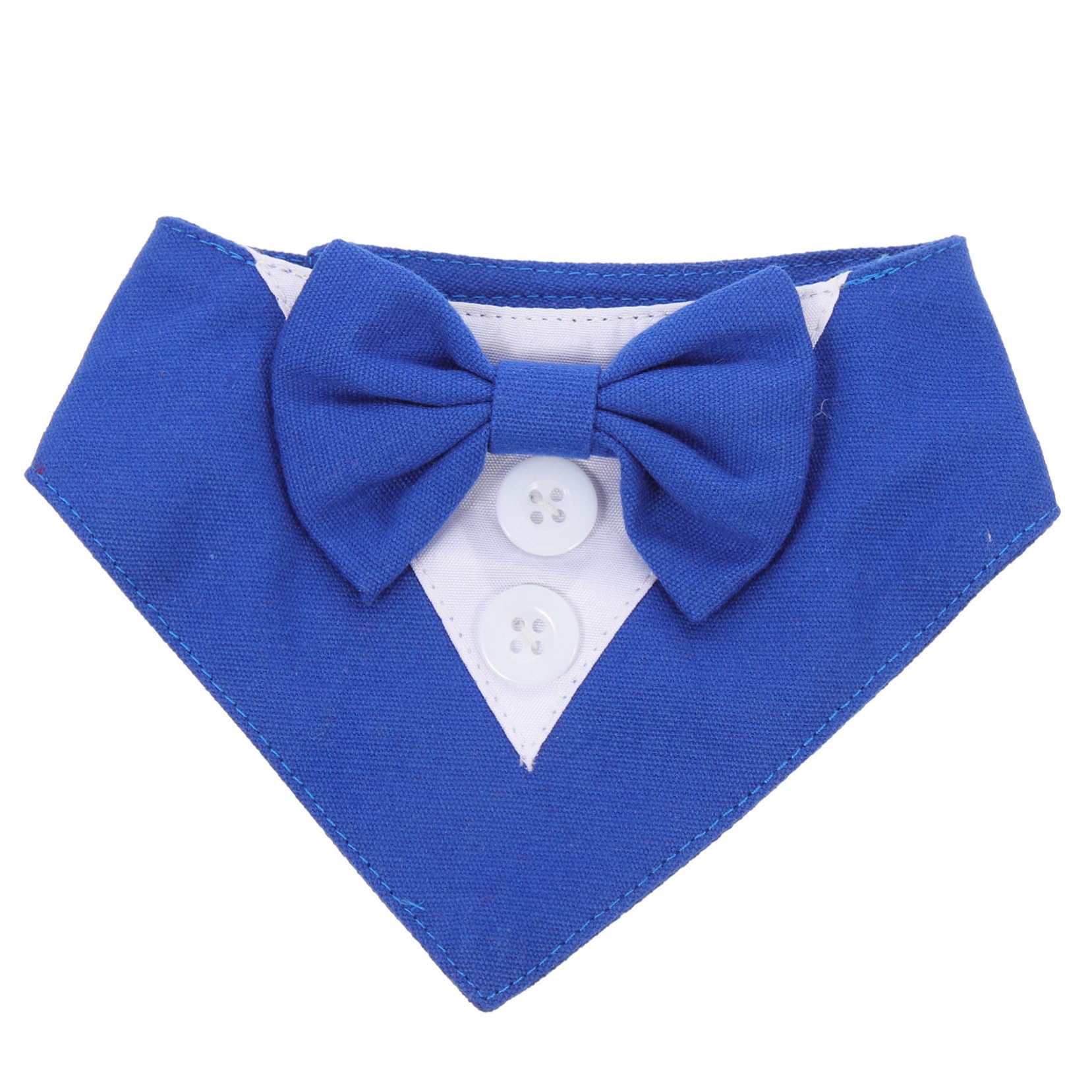 Collier pour chiens avec bavoir chiot et bandana bleu pour tenue unique de fête