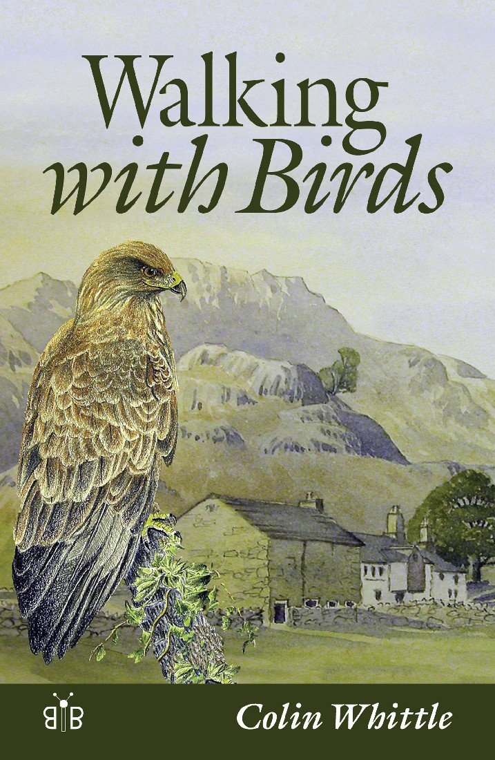 Walking with Birds : An Exploration of Wildlife and Landscape of a Cumbrian Valley
