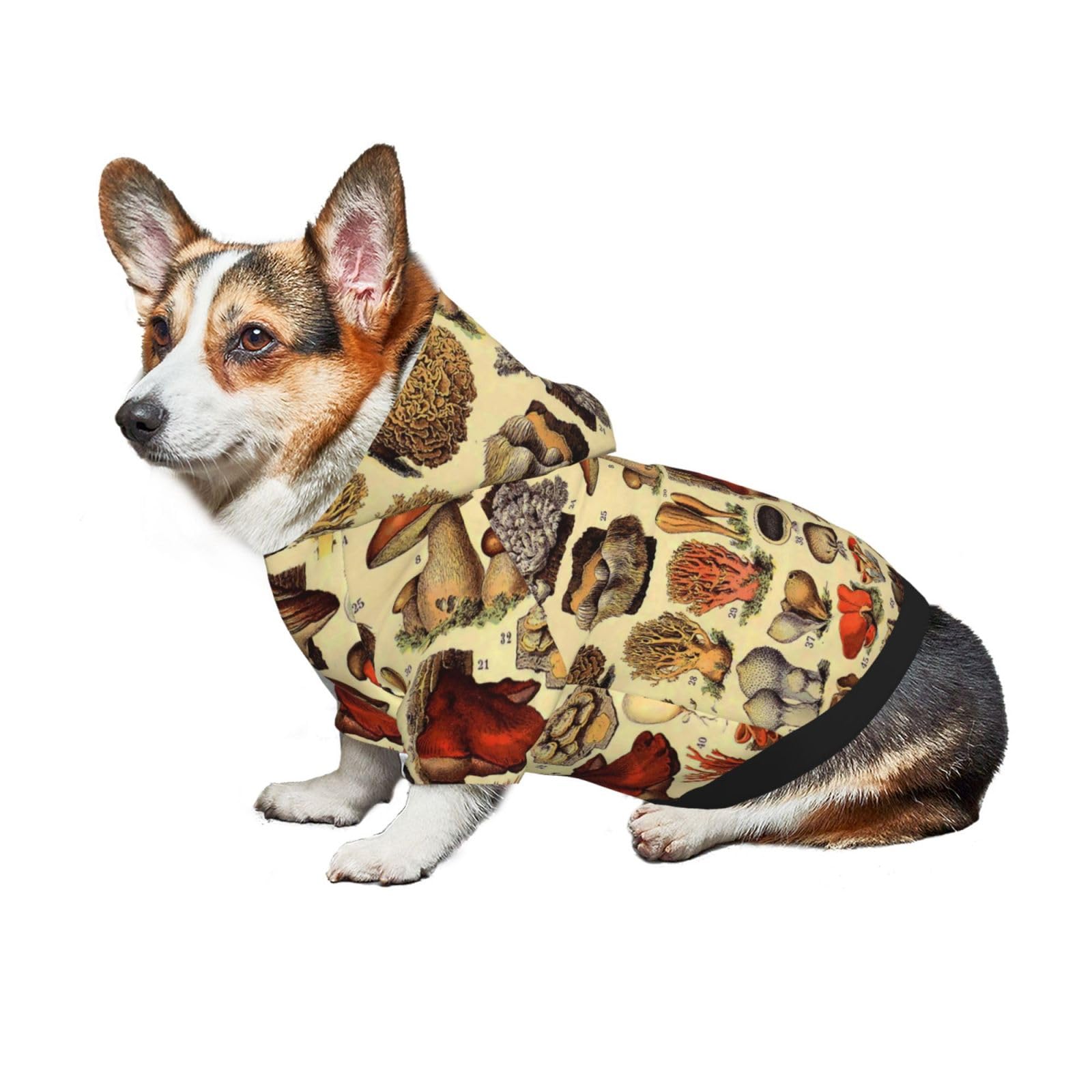 kinoko●犬服●ハンドメイド Amazon | ペット服 犬服 ヴィンテージ かび きのこの種類 ドッグウェア