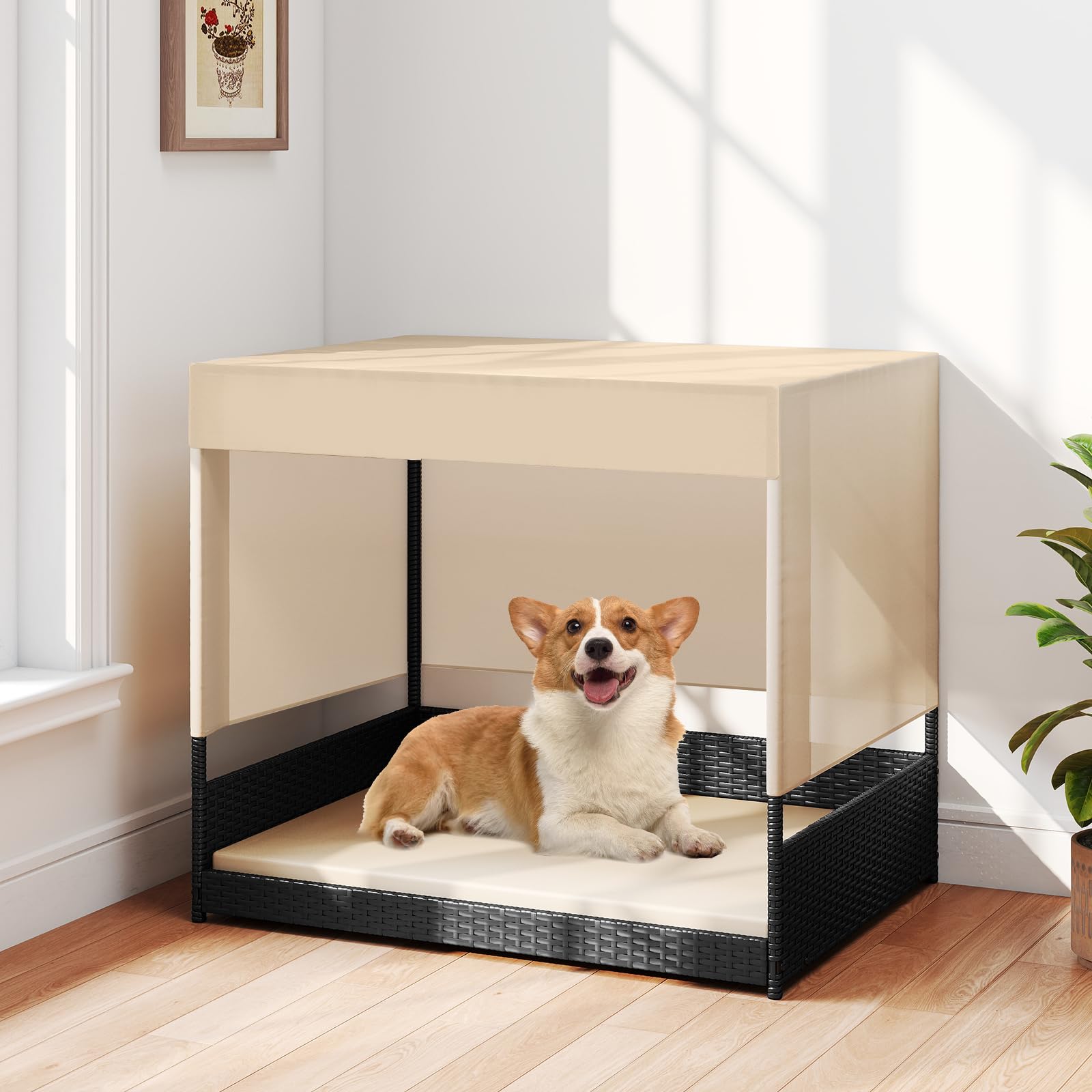 GYMAX Cuccia in vimini per cani di piccola e media taglia, divano letto rialzato in rattan con cuscino rimovibile, tetto a baldacchino e pavimento rialzato, riparo per cuccioli per interni ed esterni