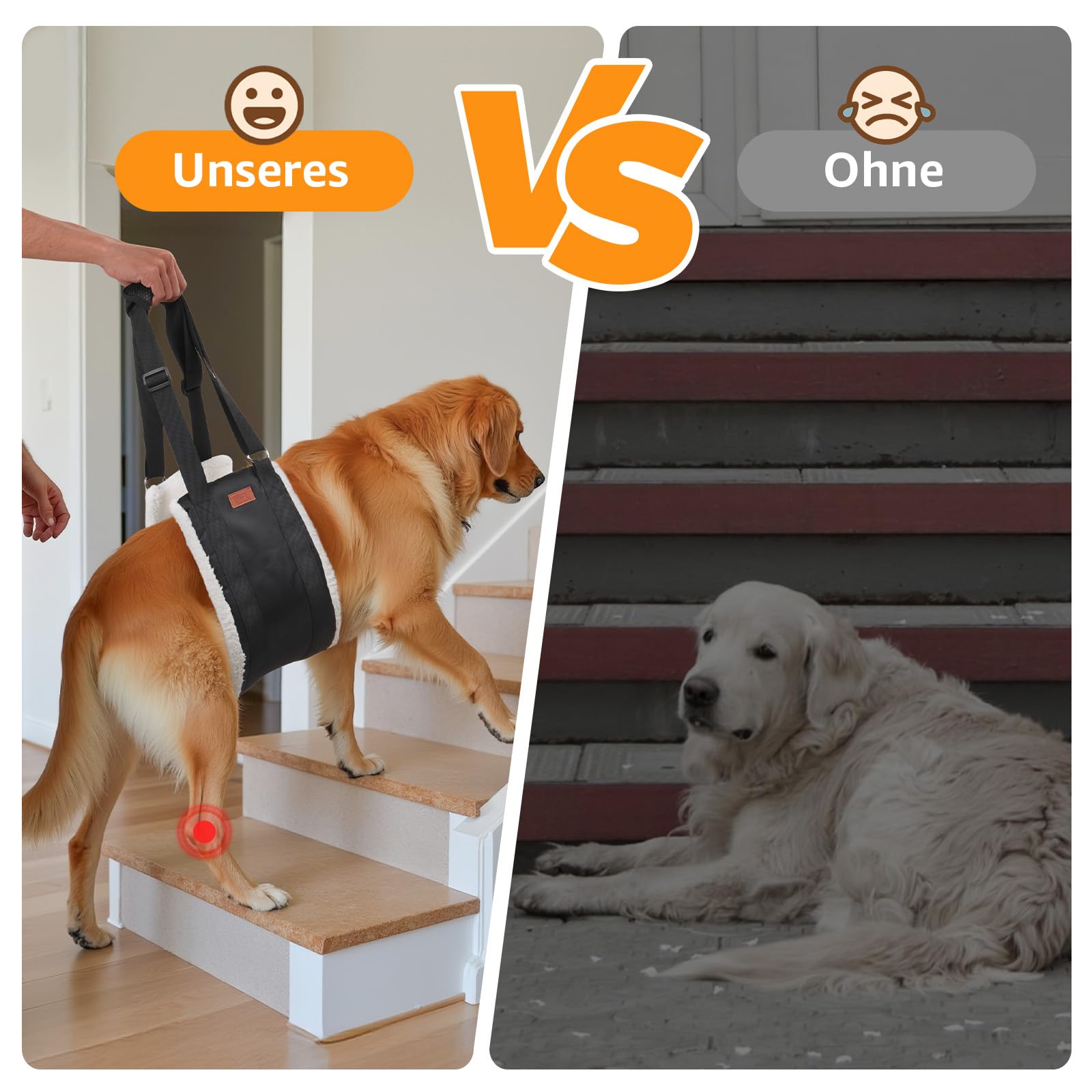 Aide au transport réglable pour chien - Sangle de transport portable pour la rééducation des chiens de taille moyenne et grande - Aide à la marche avec poignées comme soutien de sécurité pour chiens
