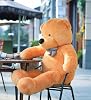Special Gift for Lover - 140 Cm Giant SIZE Cute Plush Big Bear with Bow Tie - Special Price Brown