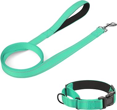 4FT3/4 Dog Leash and Dog Collar 12-16", Reflective Soft Neoprene Martingale Dog Collars and Leashes for Dogs, Turquoise