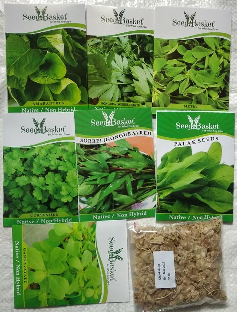 Seed Basket Pack of 8 Native Green Leafy Vegetable Seeds for Home Gardening with More than 70% Germination and Instruction Manual (4800 seeds) - Image 2 thumbnail