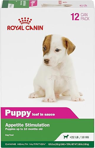 Royal Canin Canine Health Nutrition - Pan en salsa para cachorros en lata de 5.2 onzas (paquete de 12)