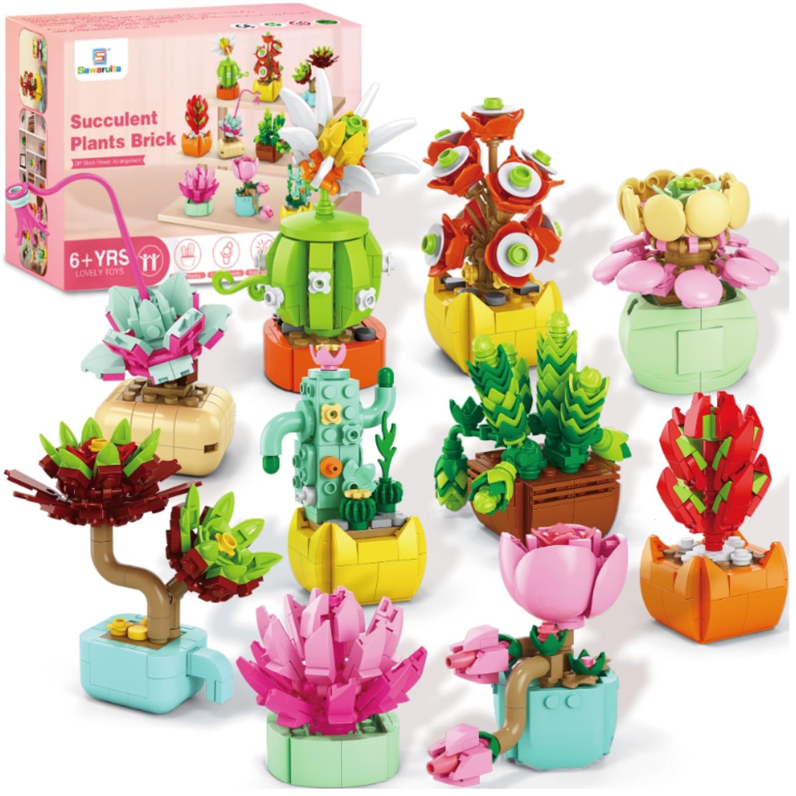 Amazon.com: Sawaruita 10 Pack Succulents Plants Flowers