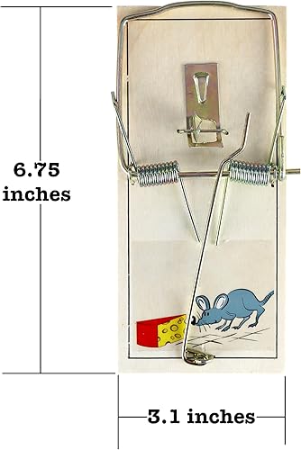 Miniatura 3 de Harrier Hardware Juego de 12 trampas para ratas, mecanismo confiable de doble resorte con base de madera resistente y placa de metal para interiores