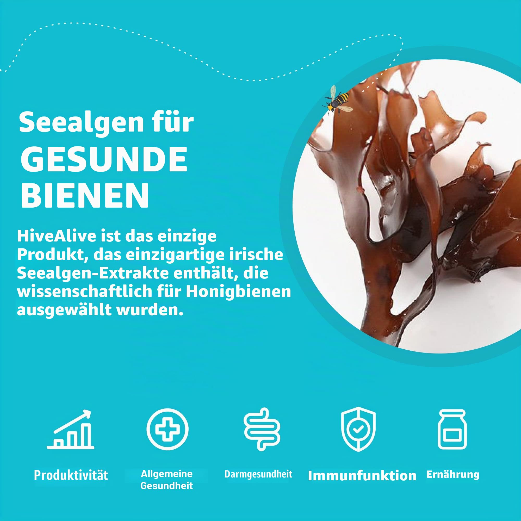 HIVE Alive Bienenfutter Zusatz - Natürliches Bienenfutter Flüssig - Bio Imker Zubehör - Herbst-Frühjahr - Senkt Wintersterblichkeit für Gesundheit Population & Honigproduktion - 100ml 10 Bienenstöcke