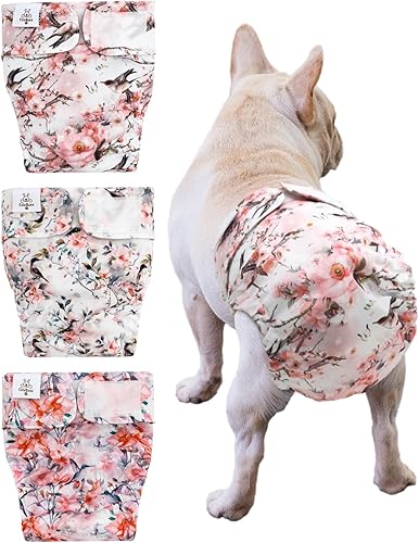 Miniatura 14 de CuteBone Pañales lavables para perras, paquete de 3 pantalones de entrenamiento para cachorros WWD02XS
