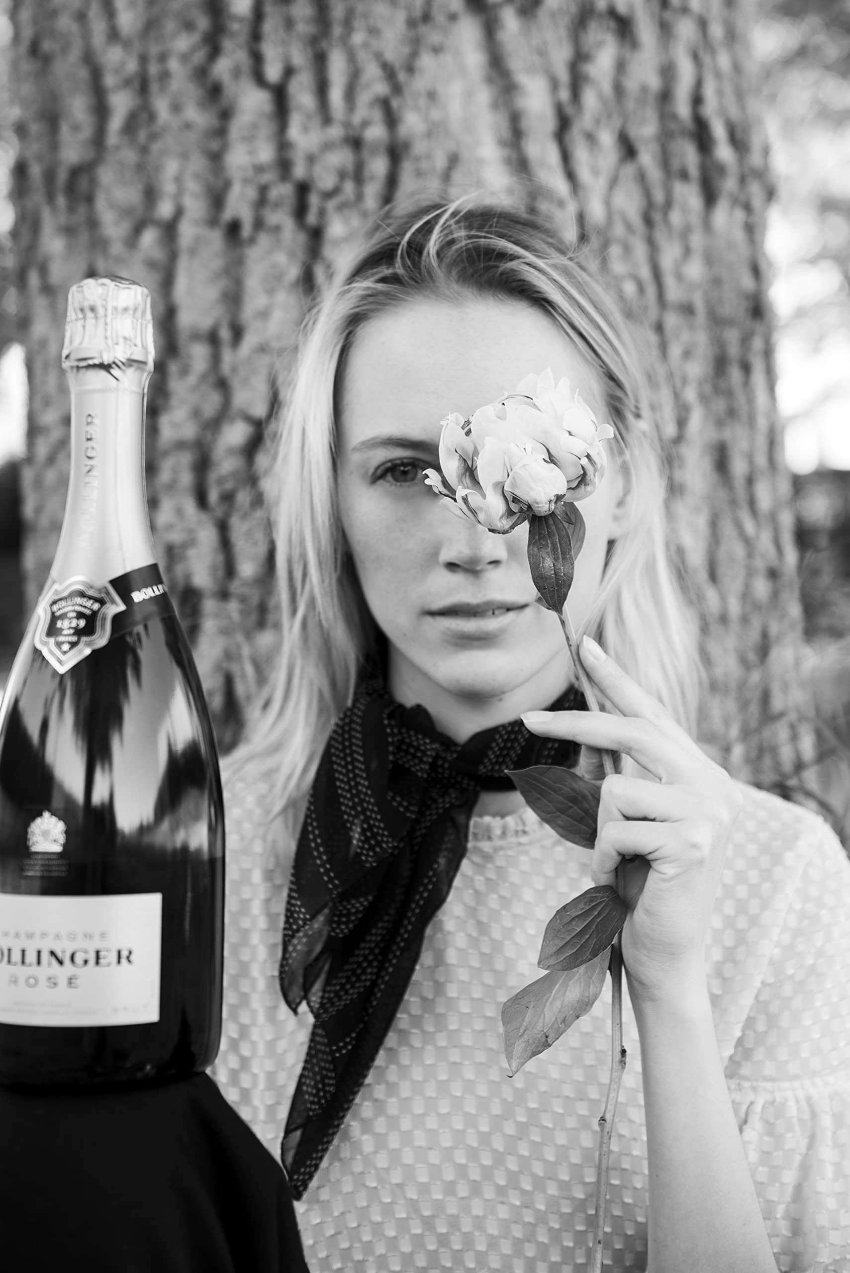 Bollinger - Champagne rosé brut
