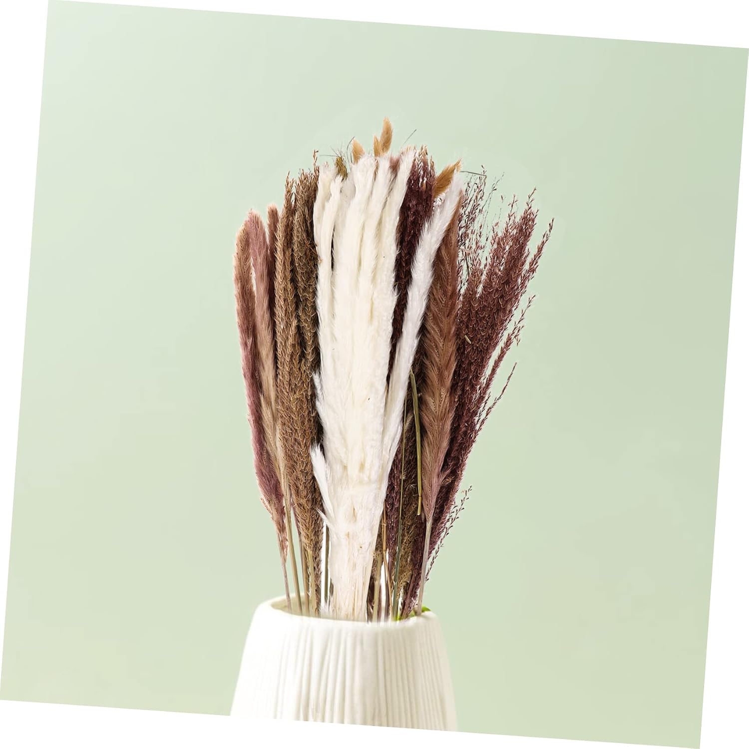 STOBAZA 1set Boho Home Decor Wedding Decorations Dried Adornment for Centerpieces