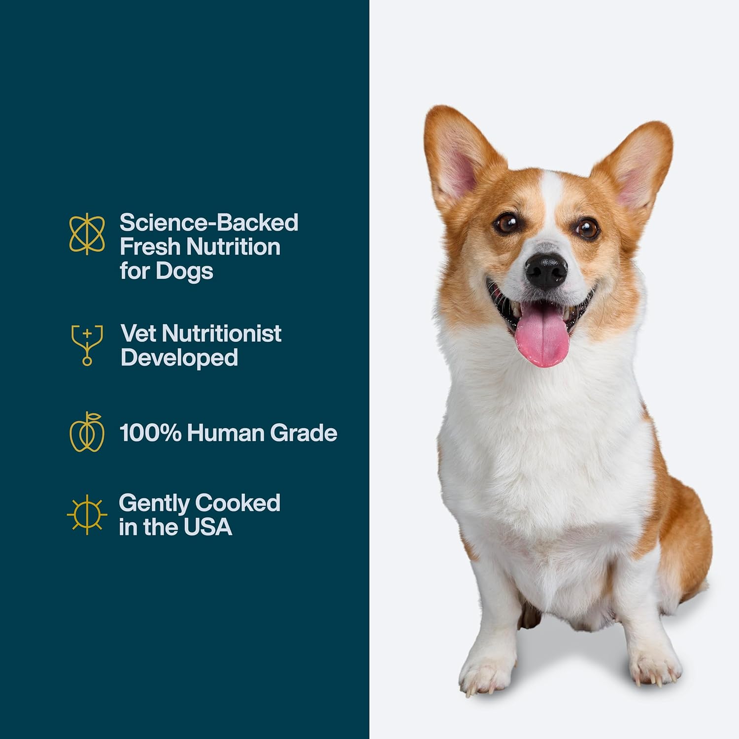 JustFoodForDogs JustFresh Wet Dog Food - Human Grade Home-Cooked Beef & Chicken 12 oz - 8 Pack
