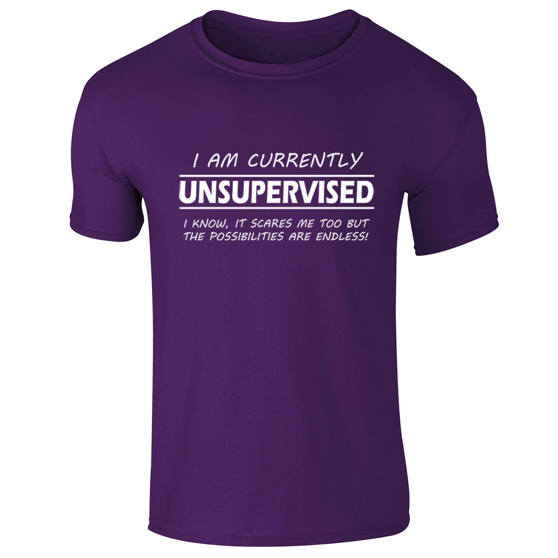 Flip I'm Currently Unsupervised Funny Slogan Womens T-Shirt Purple UK 8-10 (M)