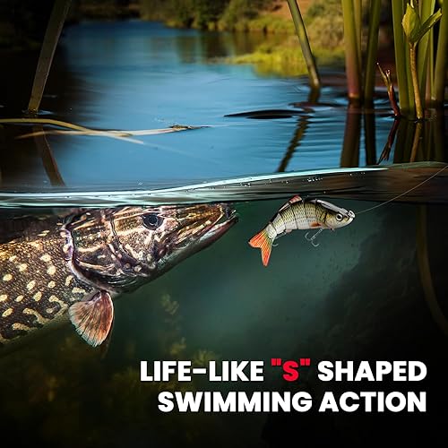 Miniatura 3 de CharmYee Señuelos de pesca de lubina, señuelos de lubina altamente realistas, cebos multiarticulados, perca de trucha de cebo duro realista