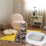 Cat Litter Box Liners, 60 Count Jumbo Extra Durable Large Drawstring Kitty Litter Pan Bags Waste Bags Pet Cat Supplies (36" x 18")