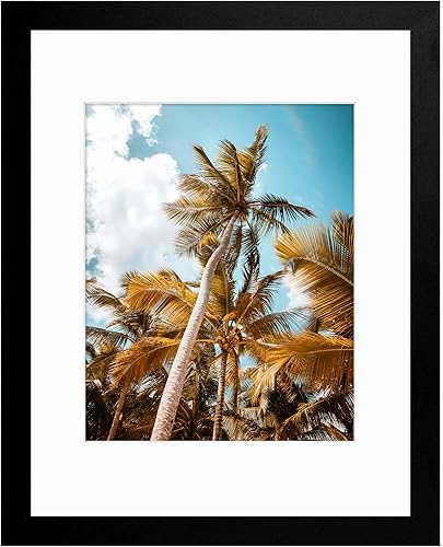 Vista 81 de Frametory, Portarretratos negro de 16 x 20 pulgadas, para fotos de 11 x 14 pulgadas con paspartú, molduras anchas (16 x 20 pulgadas, negro)