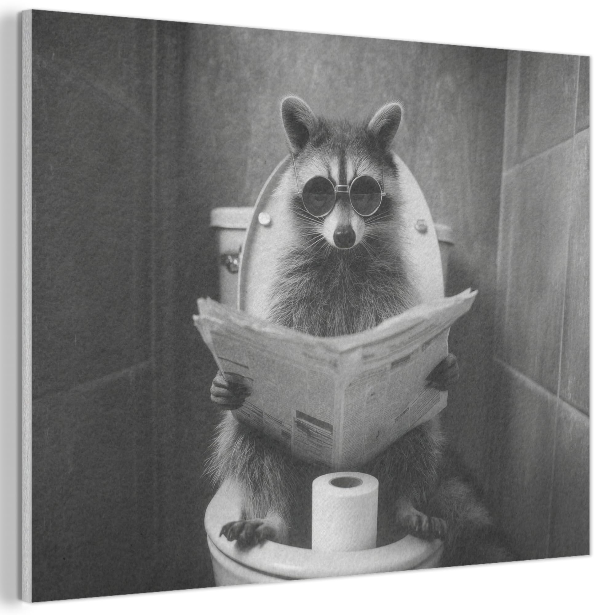 MuchoWow© Felt Panel 80x60 cm Framed Design Print Accent Interior Wallart Decoration Wall Art Newspaper - Raccoon - Toilet - Sunglasses