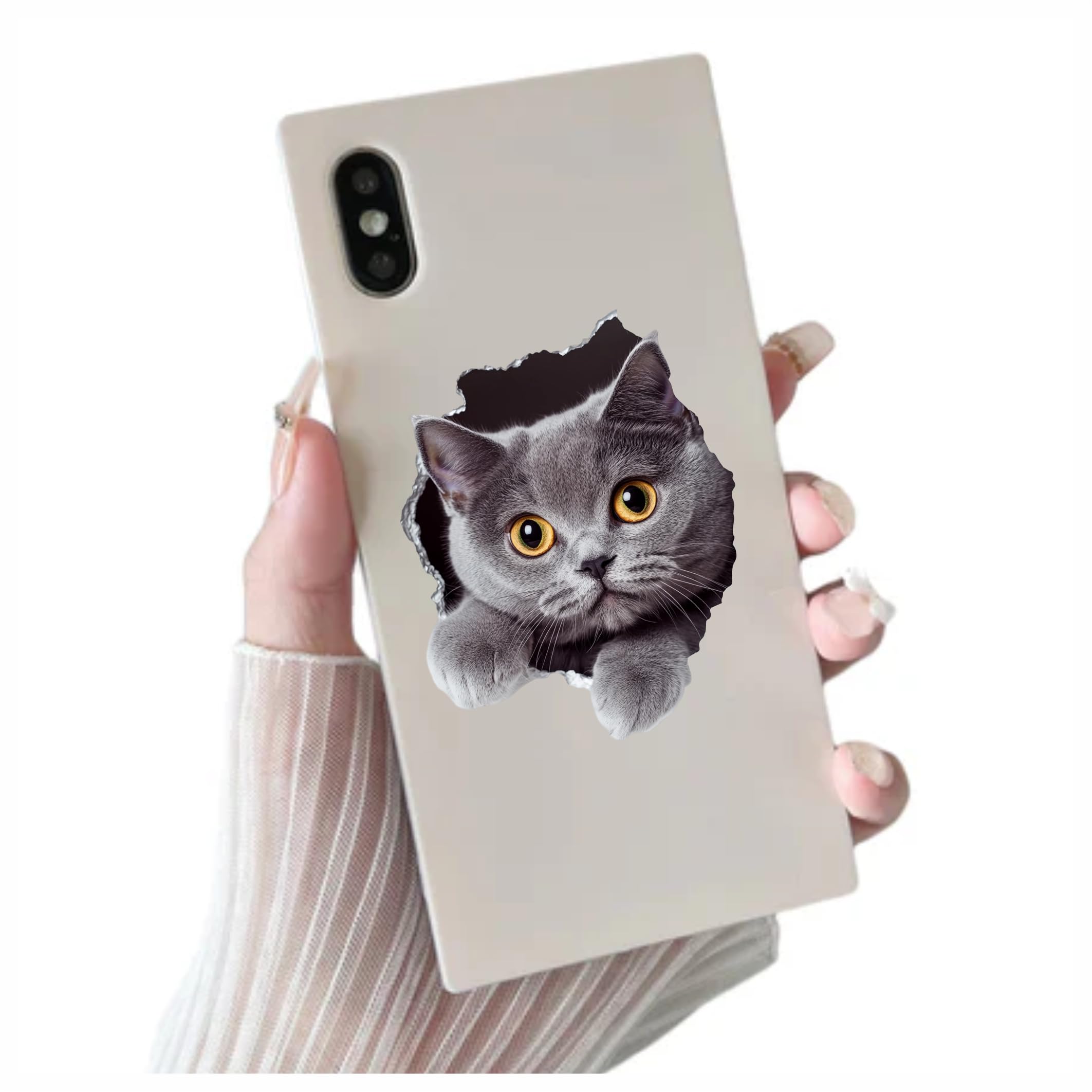 x4 Chartreux Cat Vinyl Stickers Cover Marks Non Transparent Waterproof Decals 1@20cm Tall & 3@7cm Tall Ideal for Toilet Car Phone case - Image 3